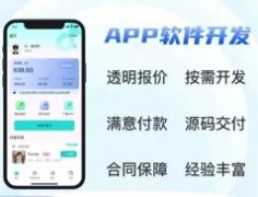 app開(kāi)發(fā)，小程序開(kāi)發(fā)，網(wǎng)站開(kāi)發(fā)，系統(tǒng)定制，源碼交付